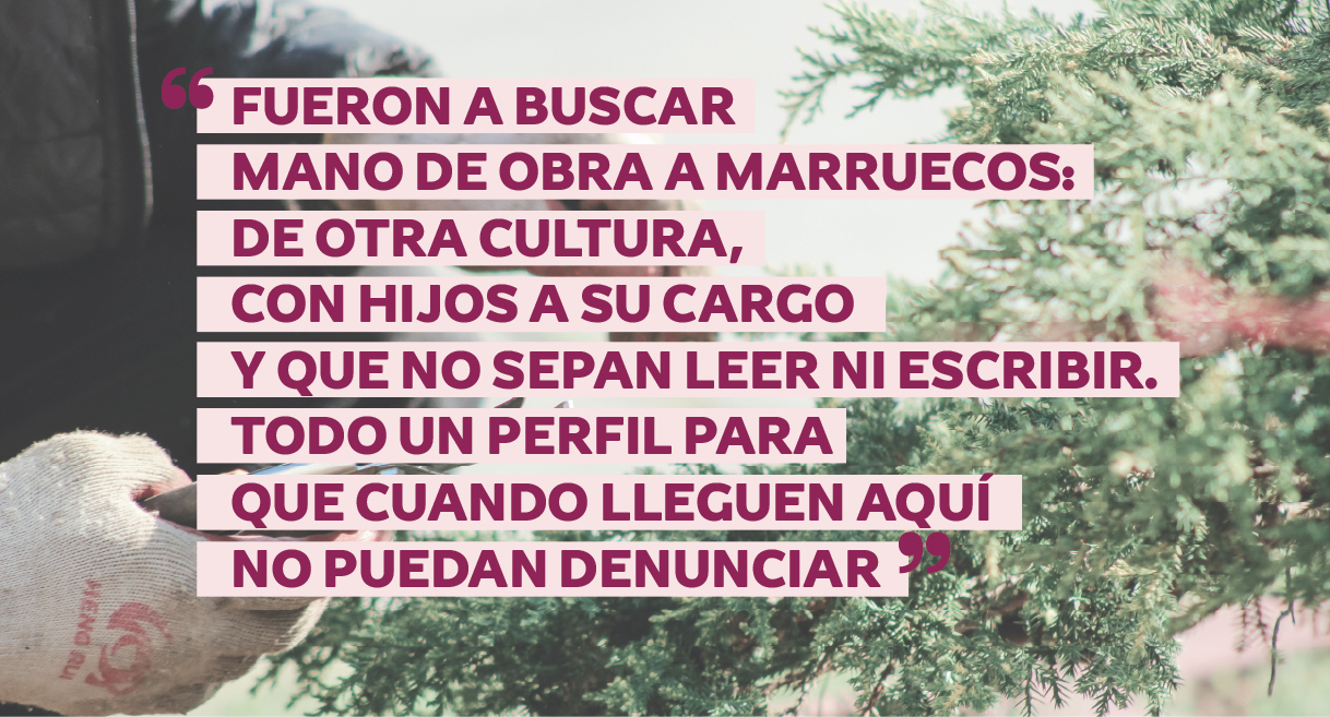 Desgranadas_Home-03