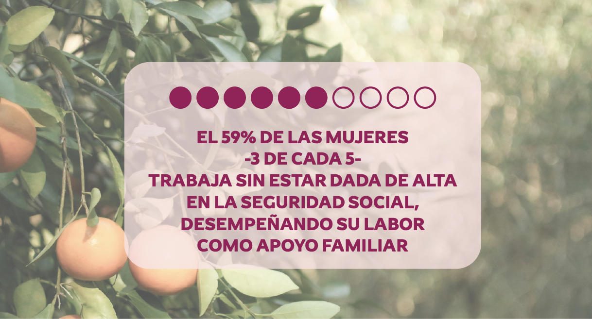 Desgranadas_Home-04